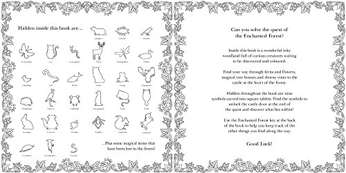 Enchanted Forest: An Inky Quest and Coloring Book (Activity Books, Mindfulness and Meditation, Illustrated Floral Prints)
