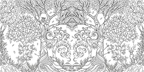 Enchanted Forest: An Inky Quest and Coloring Book (Activity Books, Mindfulness and Meditation, Illustrated Floral Prints)