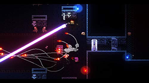 Enter the Gungeon(エンター・ザ・ガンジョン) -Switch