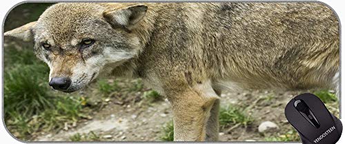 Estera de escritorio XXL Protector de computadora portátil ACCESORIOS DE COMPUTADORA DE ROTO, Lobo gris Mouse Pad con bordes cosidos