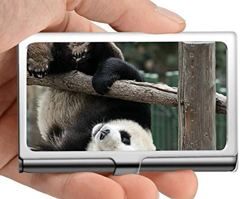 Estuche para tarjetas de visita, Squishy Playing Animal Cute Giant Panda Estuche para tarjetas de visita (acero inoxidable)