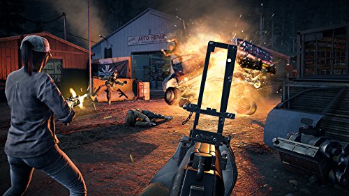 Far Cry 5 - Edición Limited (Edición Exclusiva Amazon)