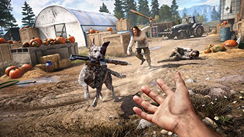 Far Cry 5 (PS4 Exclusive Content)