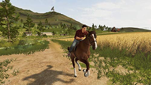Farming Simulator 20 for Nintendo Switch [USA]