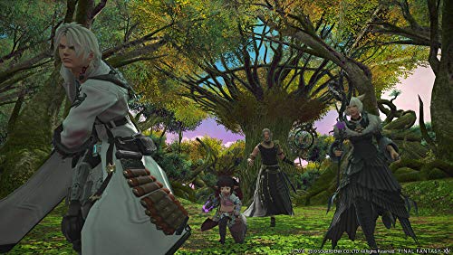 Final Fantasy XIV : Shadowbringers [Importación francesa]