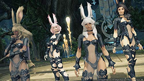 Final Fantasy XIV : Shadowbringers [Importación francesa]