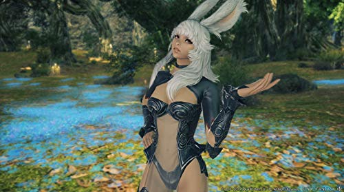 Final Fantasy XIV: Shadowbringers (PC)