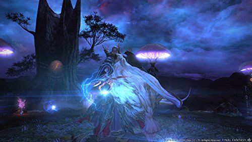 Final Fantasy XIV Starter Edition PC Game [Importación inglesa]