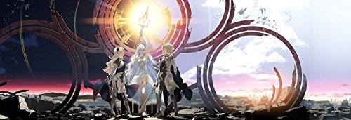 Fire Emblem Fates: Conquest - Nintendo 3DS [並行輸入品]