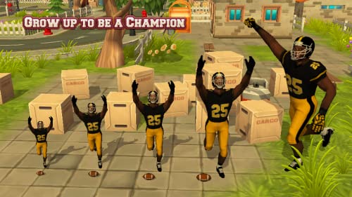 Football Simulator Rampage 3D