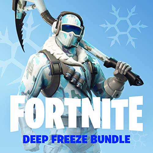 Fortnite Deep Freeze Bundle for PlayStation 4 [USA]