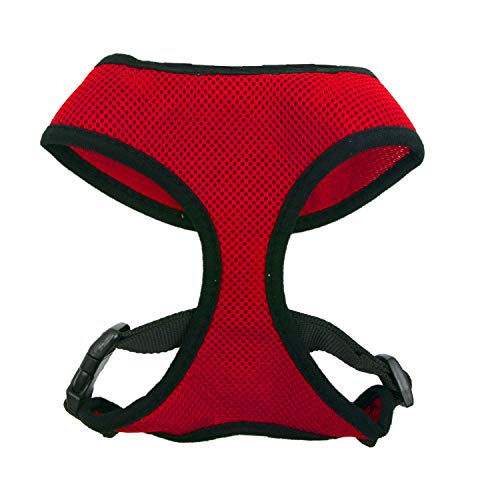 Four Paws Arnés Grande para Perro con Control cómodo Rojo