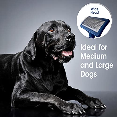 Four Paws Magic Coat - Cepillo de Aseo para Perros (tamaño Mediano)