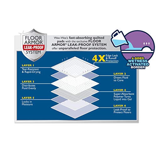 Four Paws Wee-Wee Pads Insta-Rise Border Super Absorbent 22x23 Dog Pads 10 Count