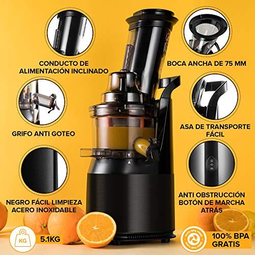 Fruta y Vegetal Cold Press Extractor de Jugo Slow Juicer, Sorbete y Helado de Frutas - Boca Ancha de 75MM, Extractor de Masticación Lenta, Sin BPA, 240W, Acero Inoxidable Negro Fridja f1900