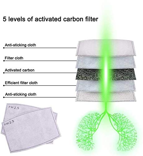 Gecter 100 unidades: papel de filtro de carbón activado PM2.5 reemplazable, con 5 capas precisas.