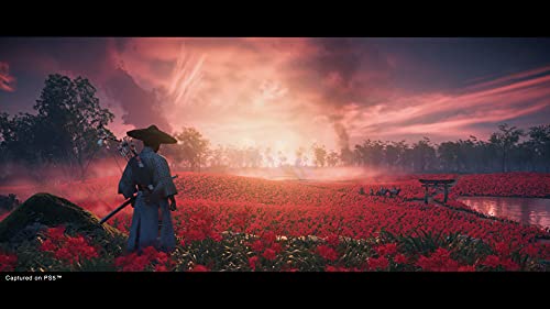 Ghost of Tsushima Director's Cut Ps4