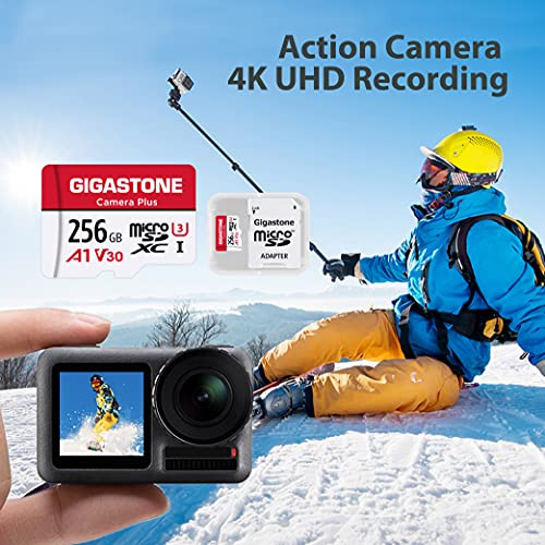 Gigastone Tarjeta Micro SD 256GB, Camera Plus, Aplicación de ejecución A1 para teléfono Inteligente, Compatible con Nintendo Switch, 100MB/s, Grabación de Video 4K, Micro SDXC UHS-I A1 U3 Clase 10
