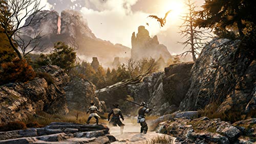 Greedfall: Gold Edition for Xbox One & Xbox Series X [USA]