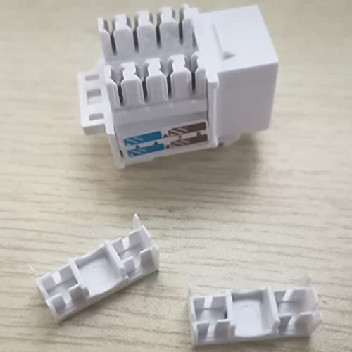 Greluma 10 Piezas Jack Keystone RJ45 CAT6 en Blanco y Soporte Perforado Keystone