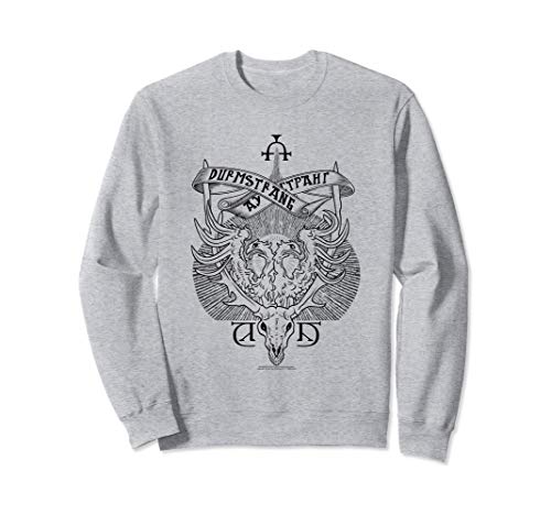 Harry Potter DS Crest Sudadera