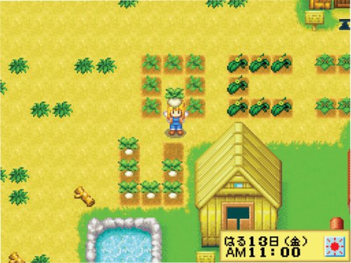 Harvest Moon DS for Girls