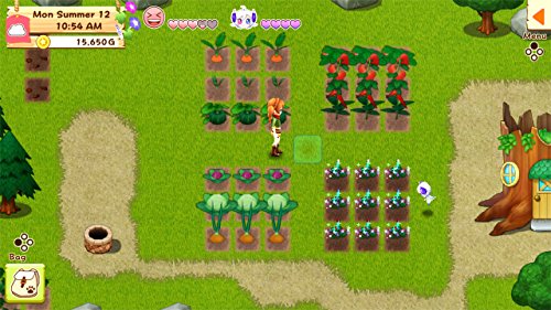 Harvest Moon: Light of Hope SE Complete for Nintendo Switch [USA]