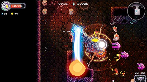 Hellmut: The Badass from Hell - Nintendo Switch [Importación inglesa]