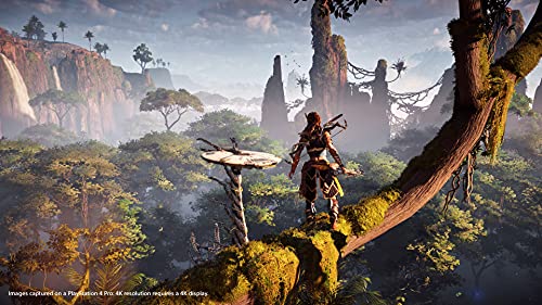 Horizon Zero Dawn Complete Edition Hits for PlayStation 4 [USA]