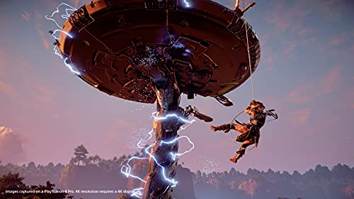 Horizon Zero Dawn Complete Edition Hits for PlayStation 4 [USA]