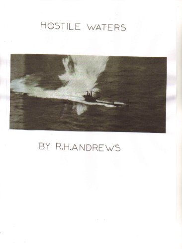 Hostile Waters (English Edition)