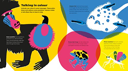 How Colour Works: Why is the sky blue? Why is snow white and darkness black? This fascinating book supports all STEAM subjects!