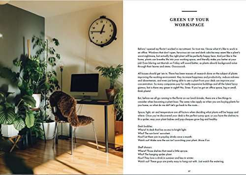 How Not to Kill Your Plants