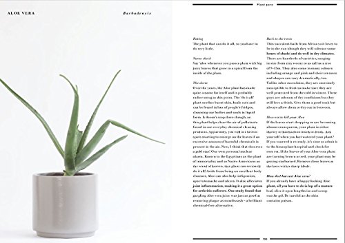 How Not to Kill Your Plants