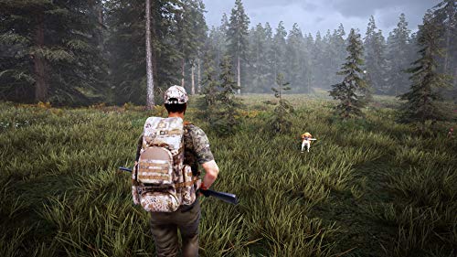 Hunting Simulator 2 - PlayStation 4 (PS4)