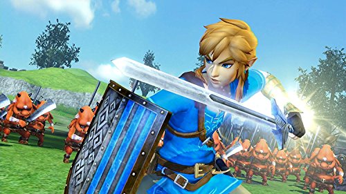 Hyrule Warriors Definitive Edition - Nintendo Switch [Importación alemana]