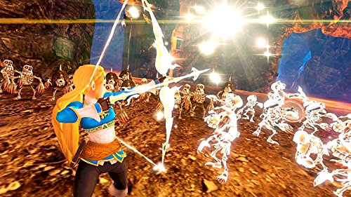 Hyrule Warriors Definitive Edition - Nintendo Switch [Importación alemana]