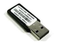 IBM USB MEMORY KEY FOR VMWARE ES **New Retail**, 41Y8305 (**New Retail**)