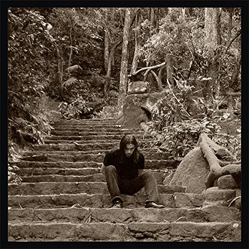 Iconoclast's Despair