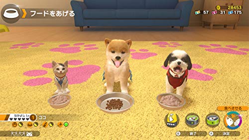 Imagineer Little Friends Dogs & Cats NINTENDO SWITCH REGION FREE JAPANESE VERSION [video game]