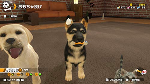 Imagineer Little Friends Dogs & Cats NINTENDO SWITCH REGION FREE JAPANESE VERSION [video game]
