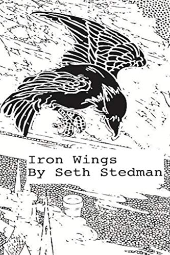 Iron Wings (The Silver Tower Book 1) (English Edition)