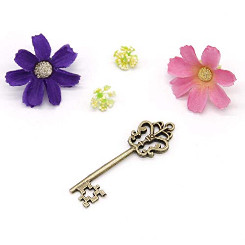 Juego de 30 llaves de bronce antiguas con diseño de esqueleto grande, diseño vintage