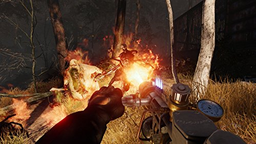 Killing Floor 2 [Importación Inglesa]