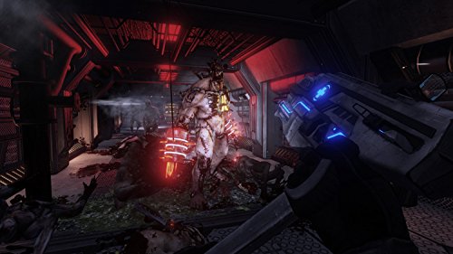 Killing Floor 2 - Limited Edition [Importación Alemana]