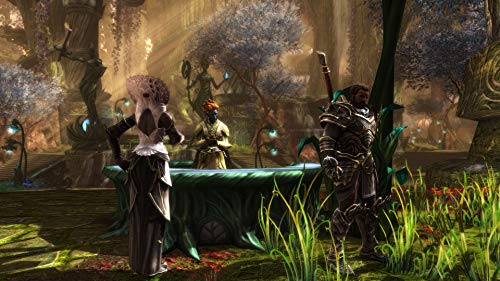 KINGDOM OF AMALUR RE-RECKONING - Xbox One [Importación francesa]