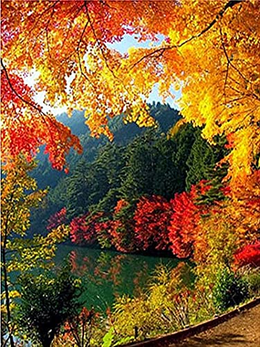 Kit de pintura de diamantes de paisaje 5D DIY mosaico de punto de cruz venta bordado paisaje de otoño manualidades regalo decoración del hogar A15 50x70cm