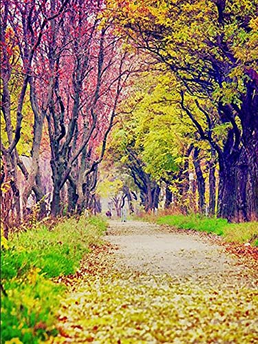 Kit de pintura de diamantes de paisaje 5D DIY mosaico de punto de cruz venta bordado paisaje de otoño manualidades regalo decoración del hogar A15 50x70cm