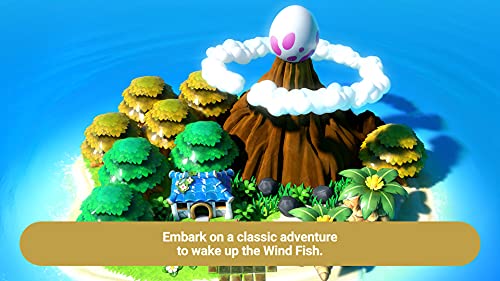 Legend of Zelda Link's Awakening - Nintendo Switch Standard Edition [Importación inglesa]