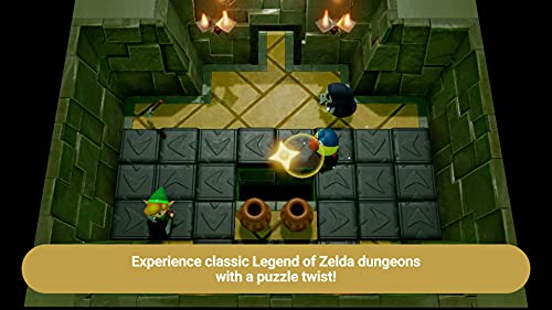Legend of Zelda Link's Awakening - Nintendo Switch Standard Edition [Importación inglesa]